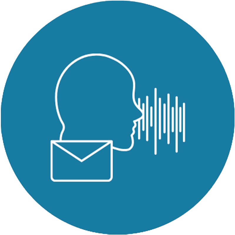 Voice, video and data integration