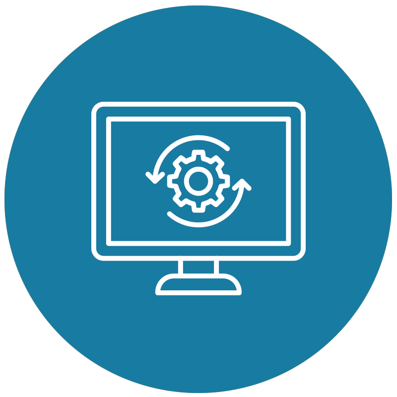 Custom Software Solutions